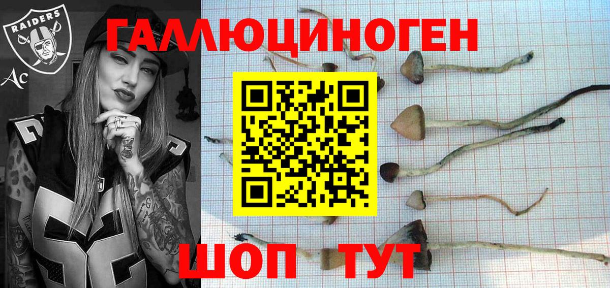 Галлюциногенные грибы мицелий  Псилоцибиновые грибы MAGIC MUSHROOMS  Вход с VPN  Магадан 