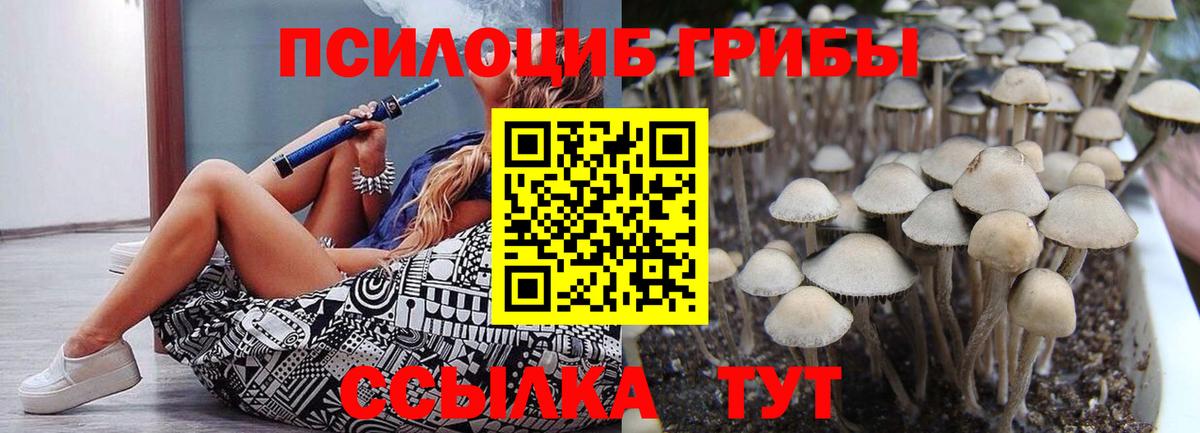 Псилоцибиновые грибы Psilocybine cubensis Магадан